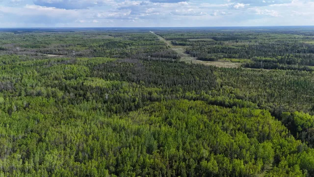 $385,000 | 1961 Town Road, Birchdale, MN 56623