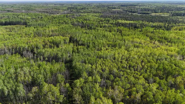 $372,000 | 1961 Town Road, Birchdale, MN 56623