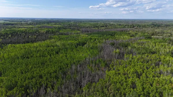 $366,000 | 1961 Town Road, Birchdale, MN 56623