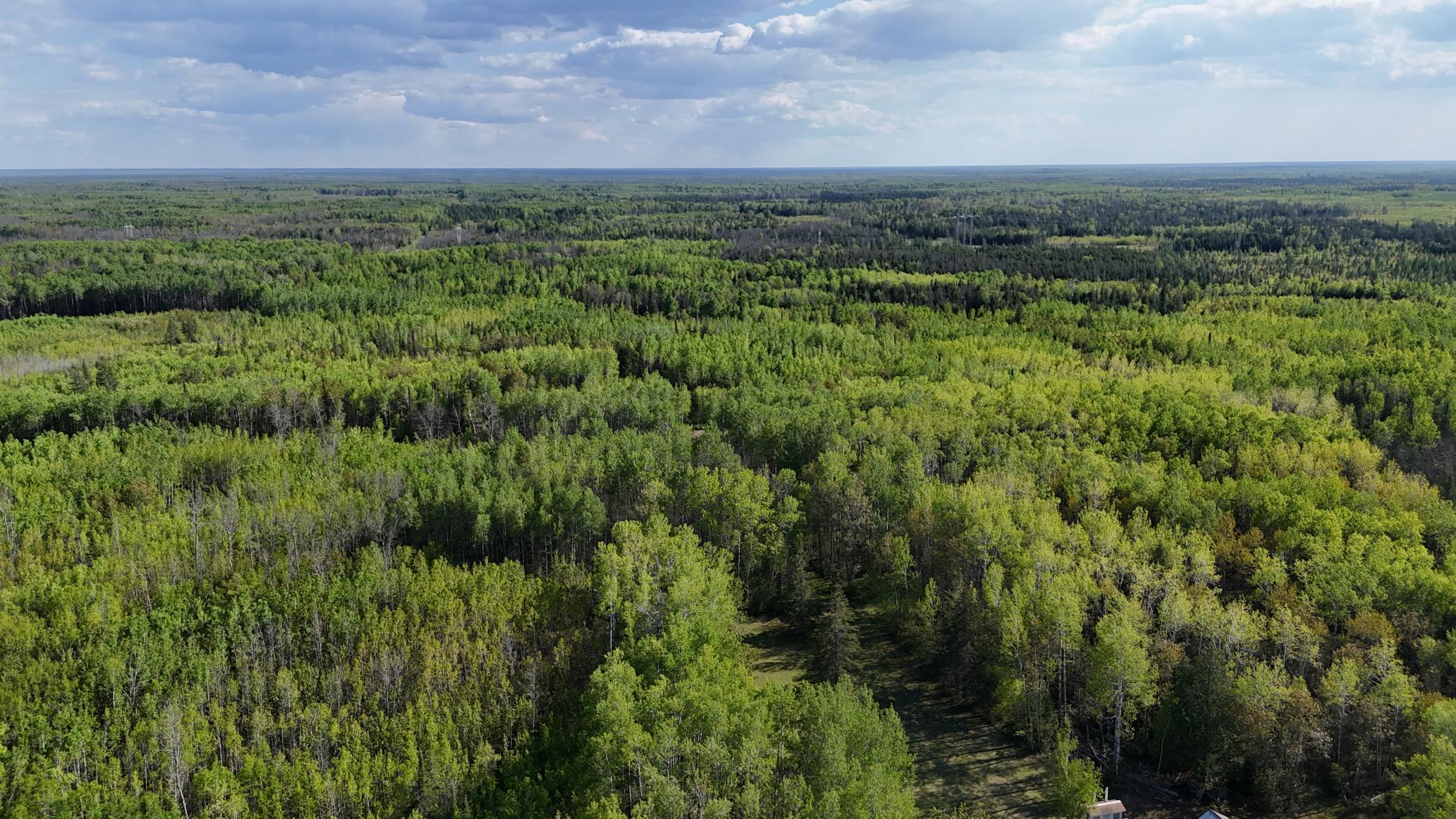 1961 Town Road Birchdale, MN 56623 - Photo 48 of 50