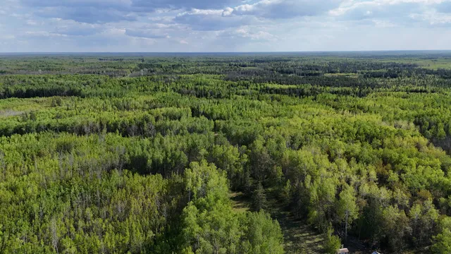 $385,000 | 1961 Town Road, Birchdale, MN 56623