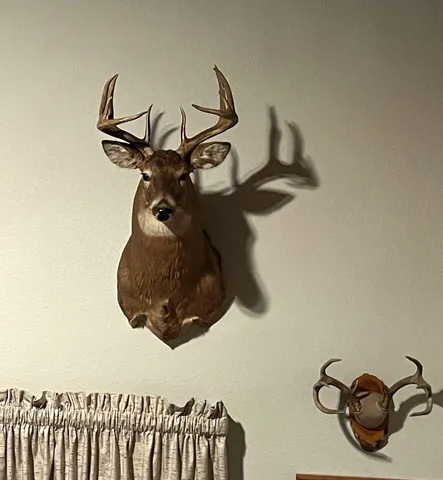 $372,000 | 1961 Town Road, Birchdale, MN 56623