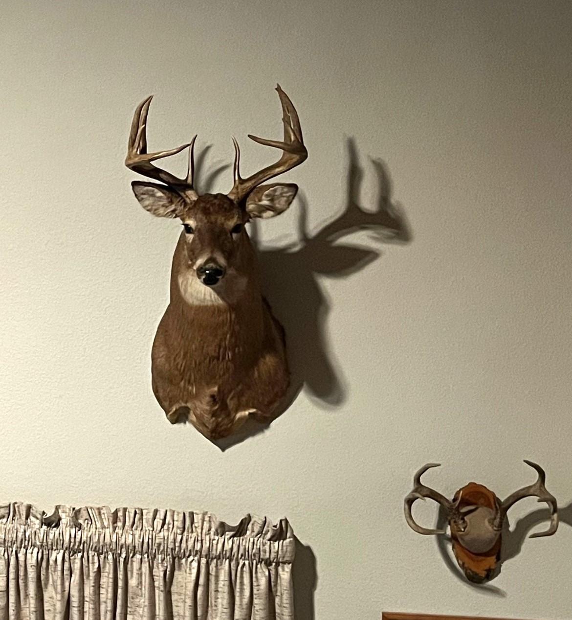 1961 Town Road Birchdale, MN 56623 - Photo 49 of 50