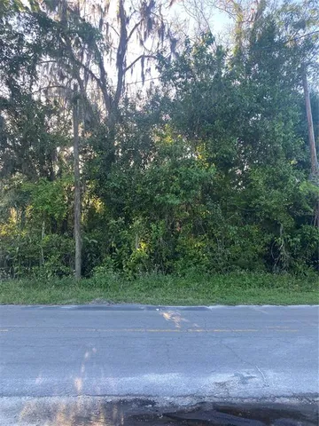 a view of a yard with a tree