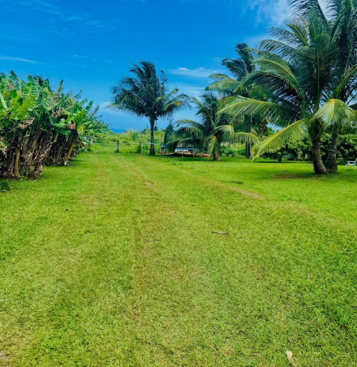 1152 Hookili Road, Unit B Haiku, HI 96708 - Photo 1 of 1