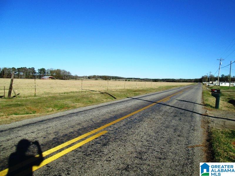 733 Springhill Road, Unit 1 Talladega, AL 35160 - Photo 4 of 4