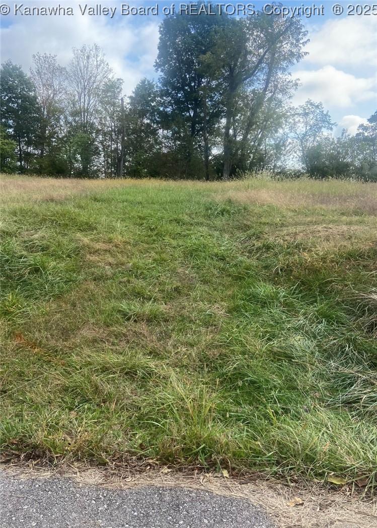 2966 Spring Branch Road Leon, WV 25123 - Photo 2 of 5 Gallery Image 2