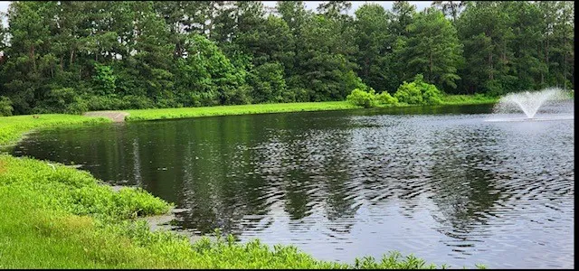 a view of yard with wooden fence and trees