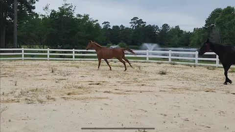 a view of an outdoor space