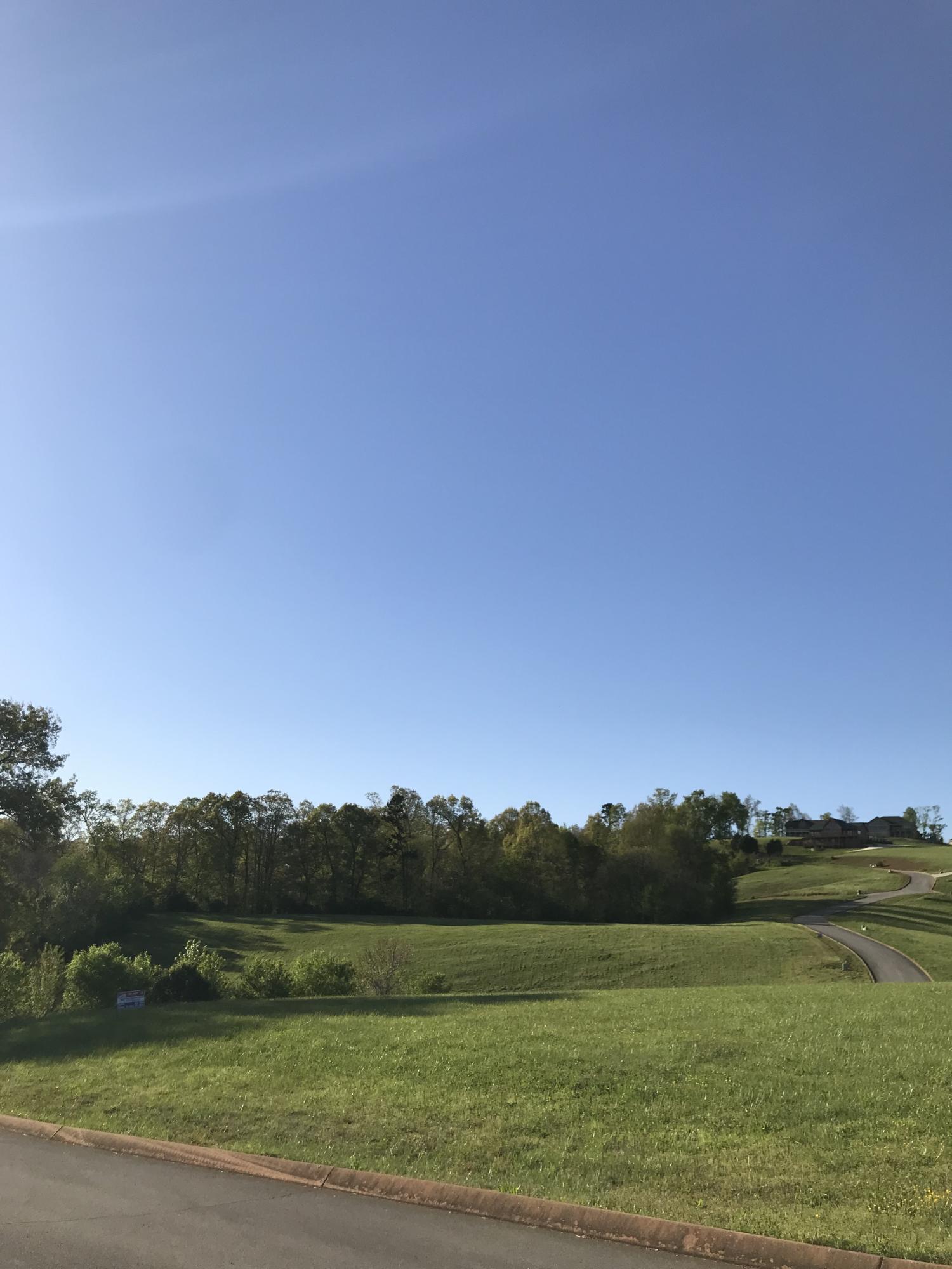 Lot 86 Shiloh Springs Rutledge, TN 37861 - Photo 2 of 20 Lot 86 (3)