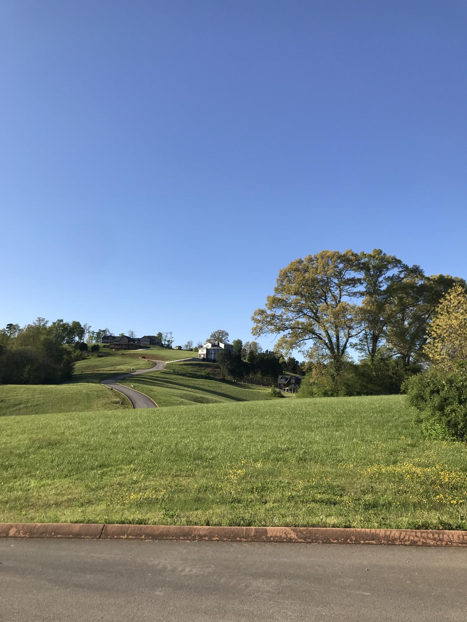 Lot 86 Shiloh Springs Rutledge, TN 37861 - Photo 11 of 20 view