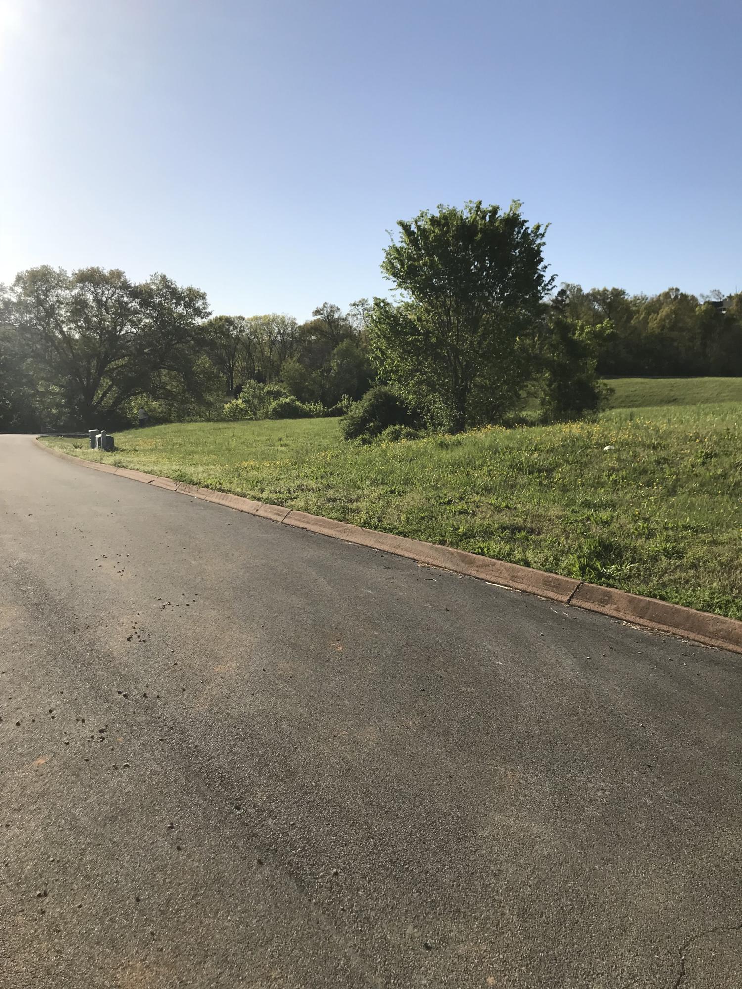 Lot 86 Shiloh Springs Rutledge, TN 37861 - Photo 5 of 20 Lot 86 (2)