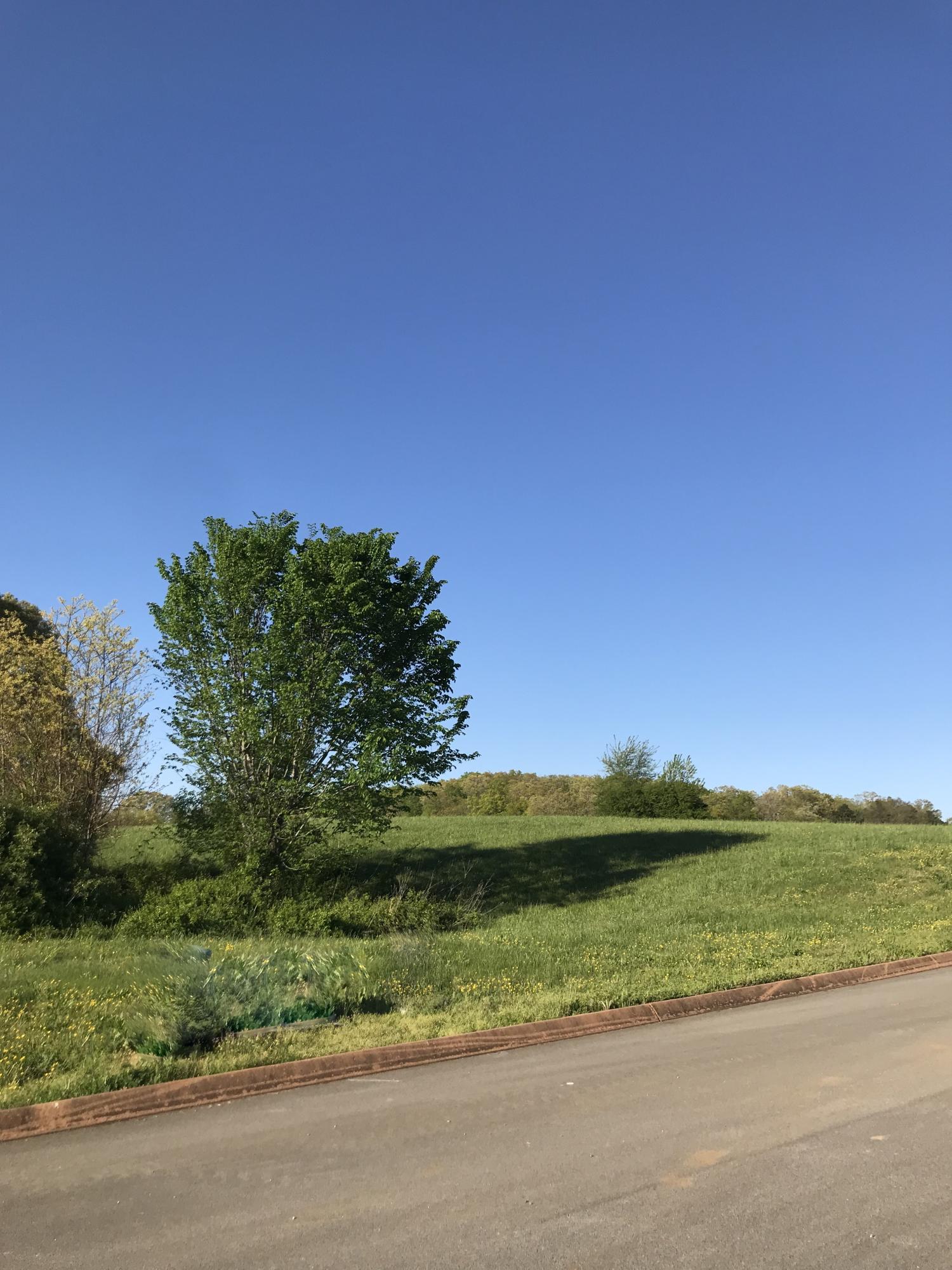 Lot 86 Shiloh Springs Rutledge, TN 37861 - Photo 6 of 20 Lot 86 (4)