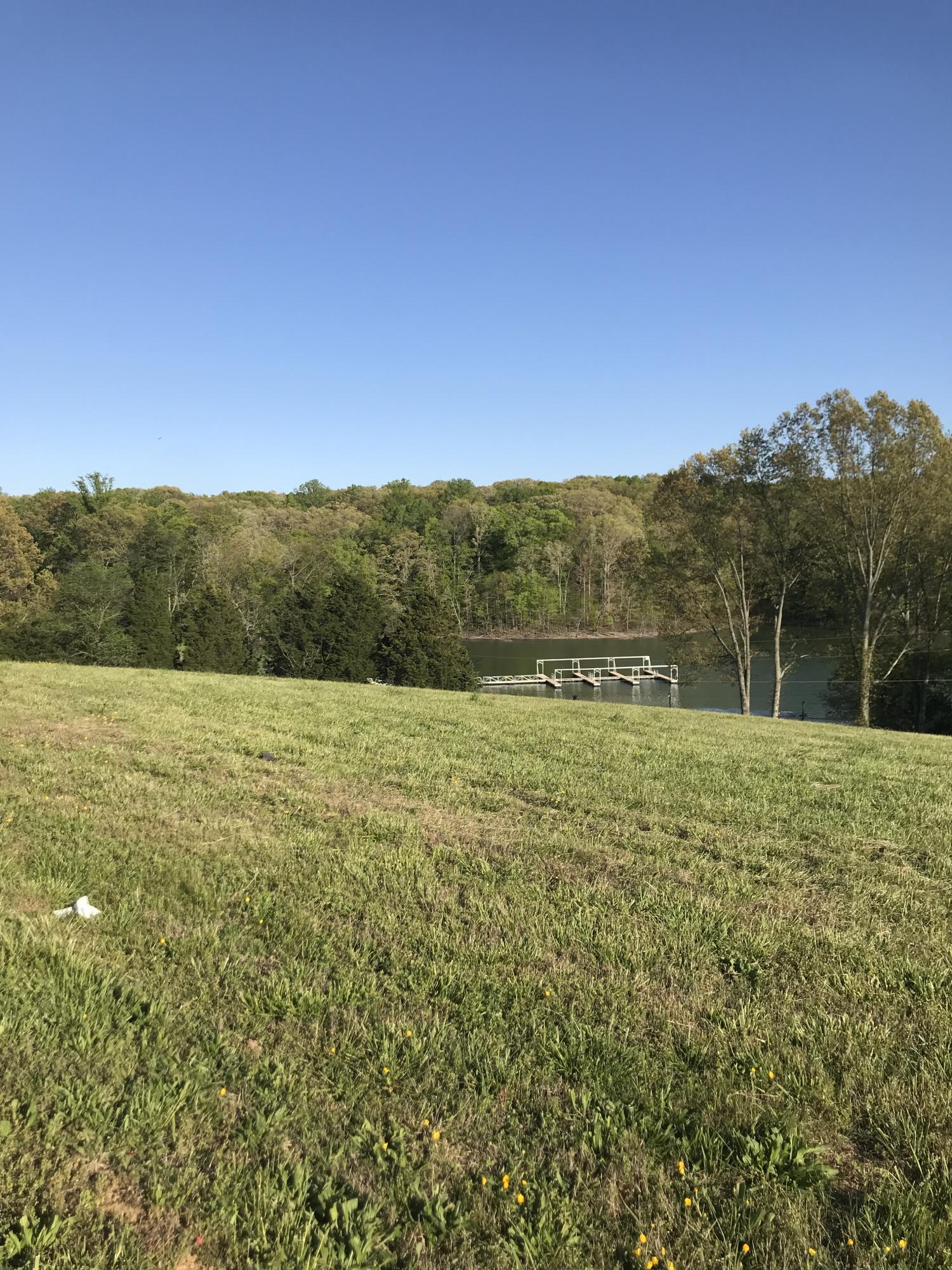 Lot 86 Shiloh Springs Rutledge, TN 37861 - Photo 8 of 20 Marina view