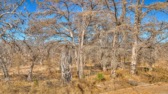 $550,000 | 196 Canal Cir Drive, Rio Frio, TX 78879