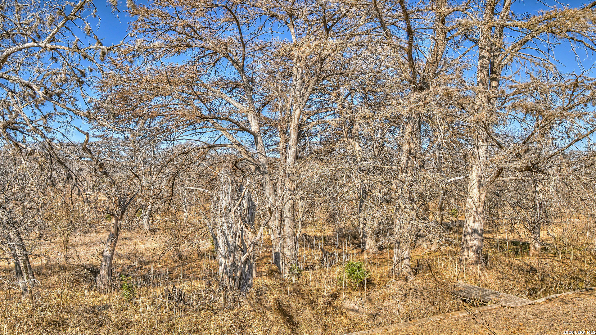 196 Canal Cir Drive Rio Frio, TX 78879 - Photo 17 of 51