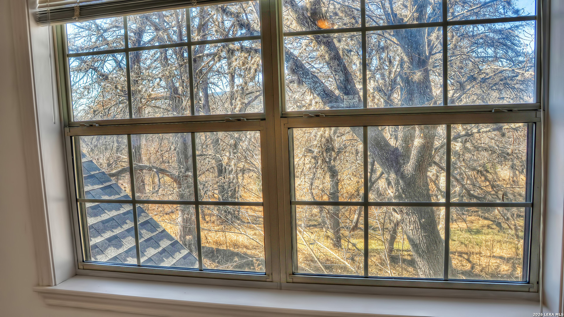 196 Canal Cir Drive Rio Frio, TX 78879 - Photo 50 of 51