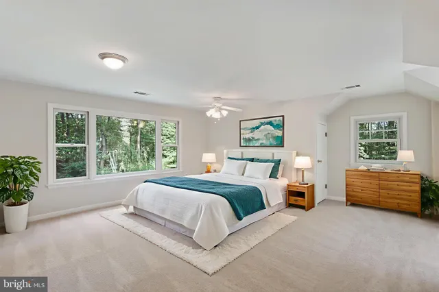 a flower lots of flowers