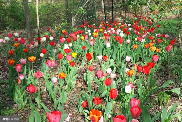 $750,000 | 20830 Peach Tree Road, Dickerson, MD 20842