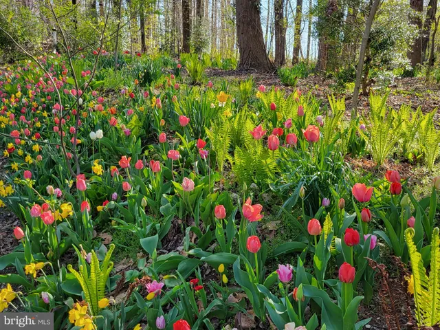 $750,000 | 20830 Peach Tree Road, Dickerson, MD 20842