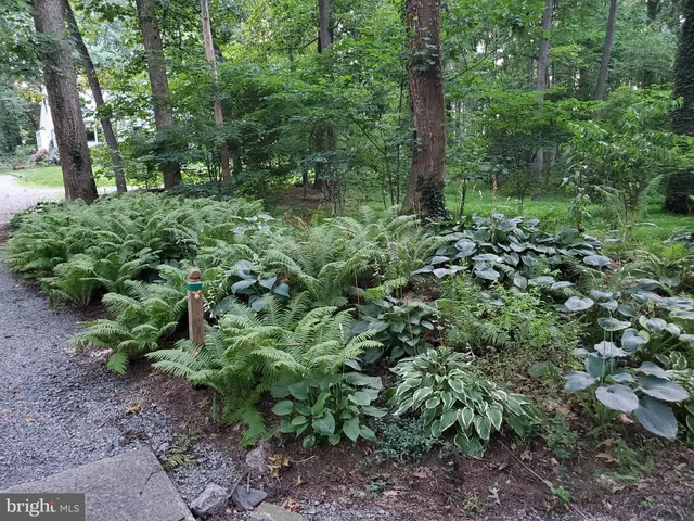 $750,000 | 20830 Peach Tree Road, Dickerson, MD 20842