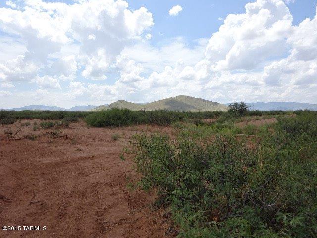 0 East Buck Ranch Road, Unit 60 AC Pearce, AZ 85625 - Photo 6 of 7