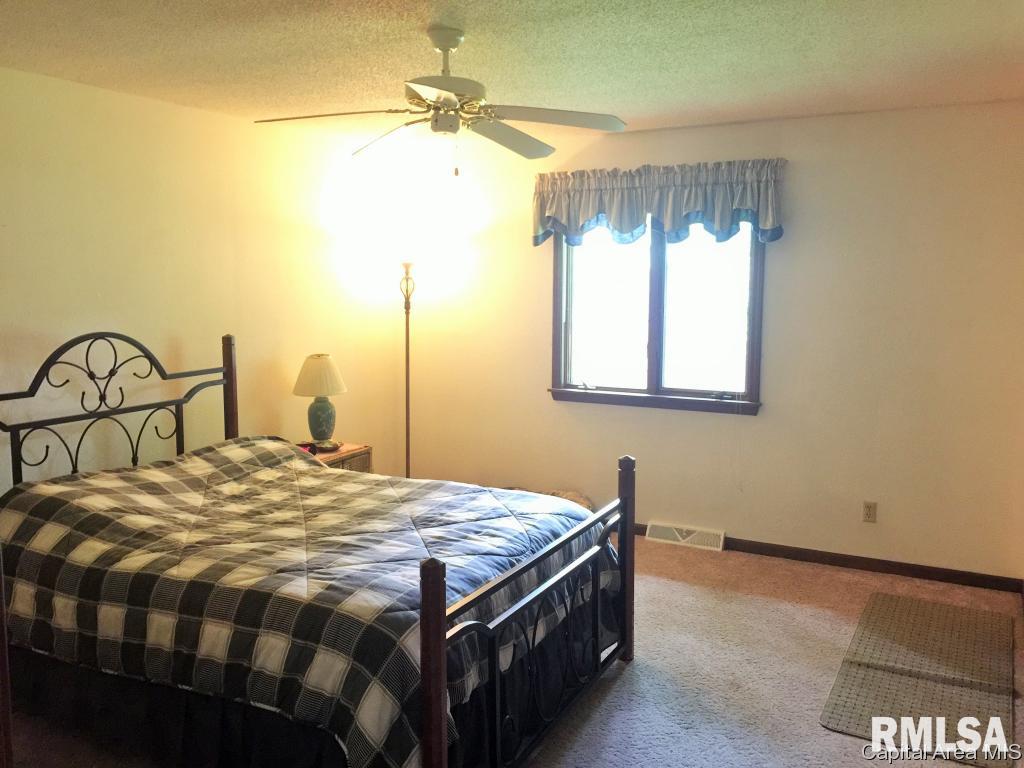 23 Galahad Drive Rochester, IL 62563 - Photo 10 of 29 Gallery Image 10
