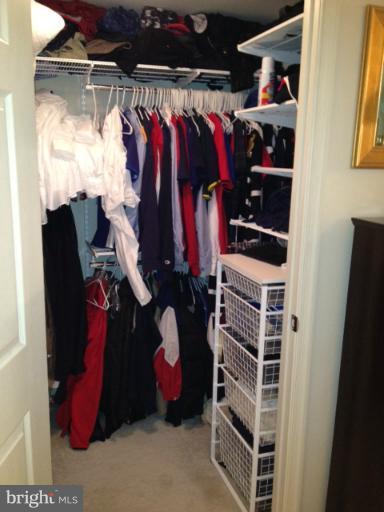 2726 Gallows Road, Unit 1008 Vienna, VA 22180 - Photo 12 of 18 Walk-In Closet