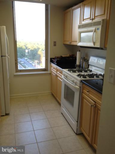2726 Gallows Road, Unit 1008 Vienna, VA 22180 - Photo 13 of 18 Kitchen