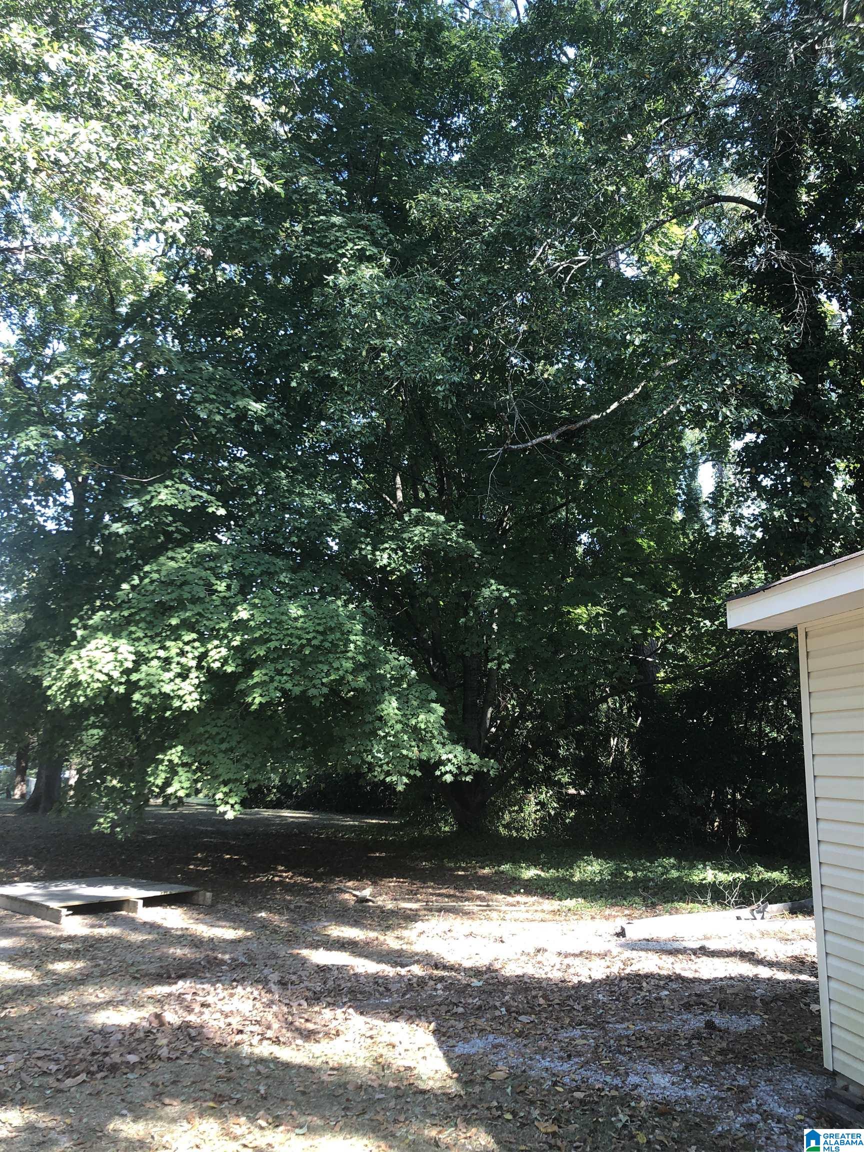 502 8th Street North Clanton, AL 35045 - Photo 26 of 34
