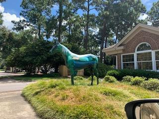 357 Live Oak Road Aiken, SC 29803 - Photo 41 of 41 Gallery Image 41