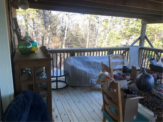 a view of trees in a yard