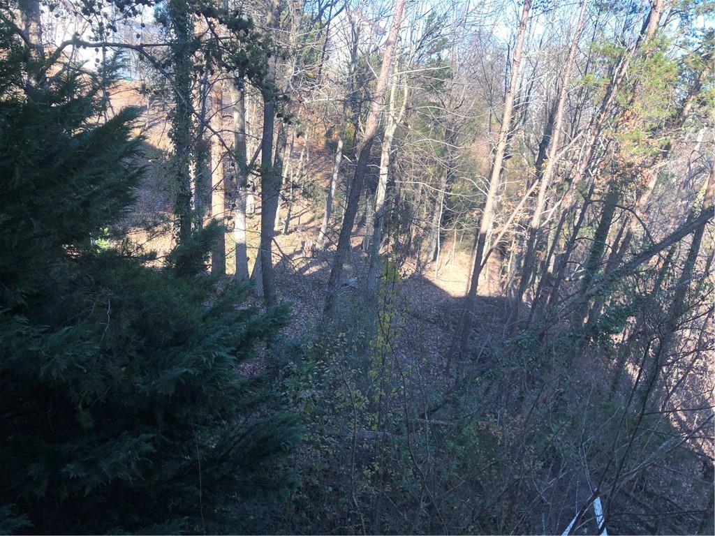 4532 High Rock Terrace Marietta, GA 30066 - Photo 40 of 40 a view of trees in a yard