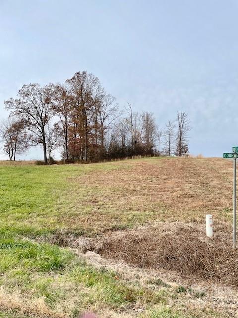 a view of a field with an outdoor space
