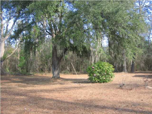 2118 Maple Ridge Road Walterboro, SC 29488 - Photo 3 of 3 Additional Photo