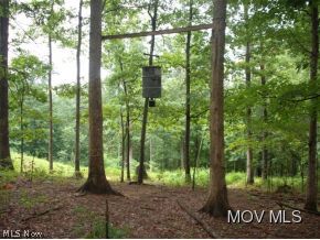 0 C Road Macfarlan, WV 26148 - Photo 6 of 17