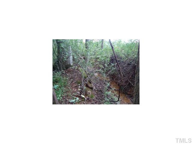 Morrow Mill Road Graham, NC 27253 - Photo 1 of 6 Creek