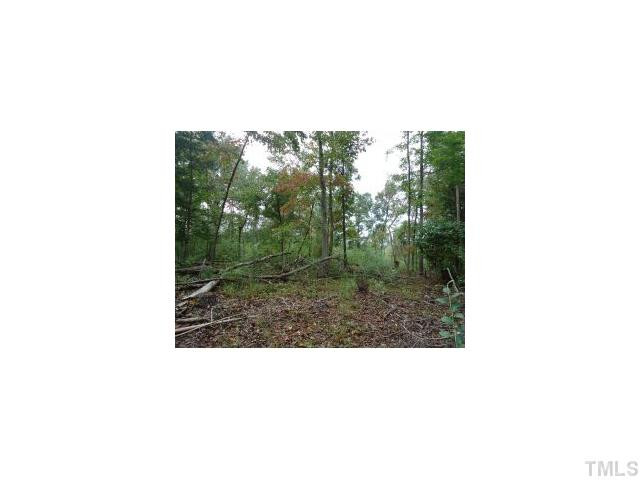 Morrow Mill Road Graham, NC 27253 - Photo 2 of 6 woods