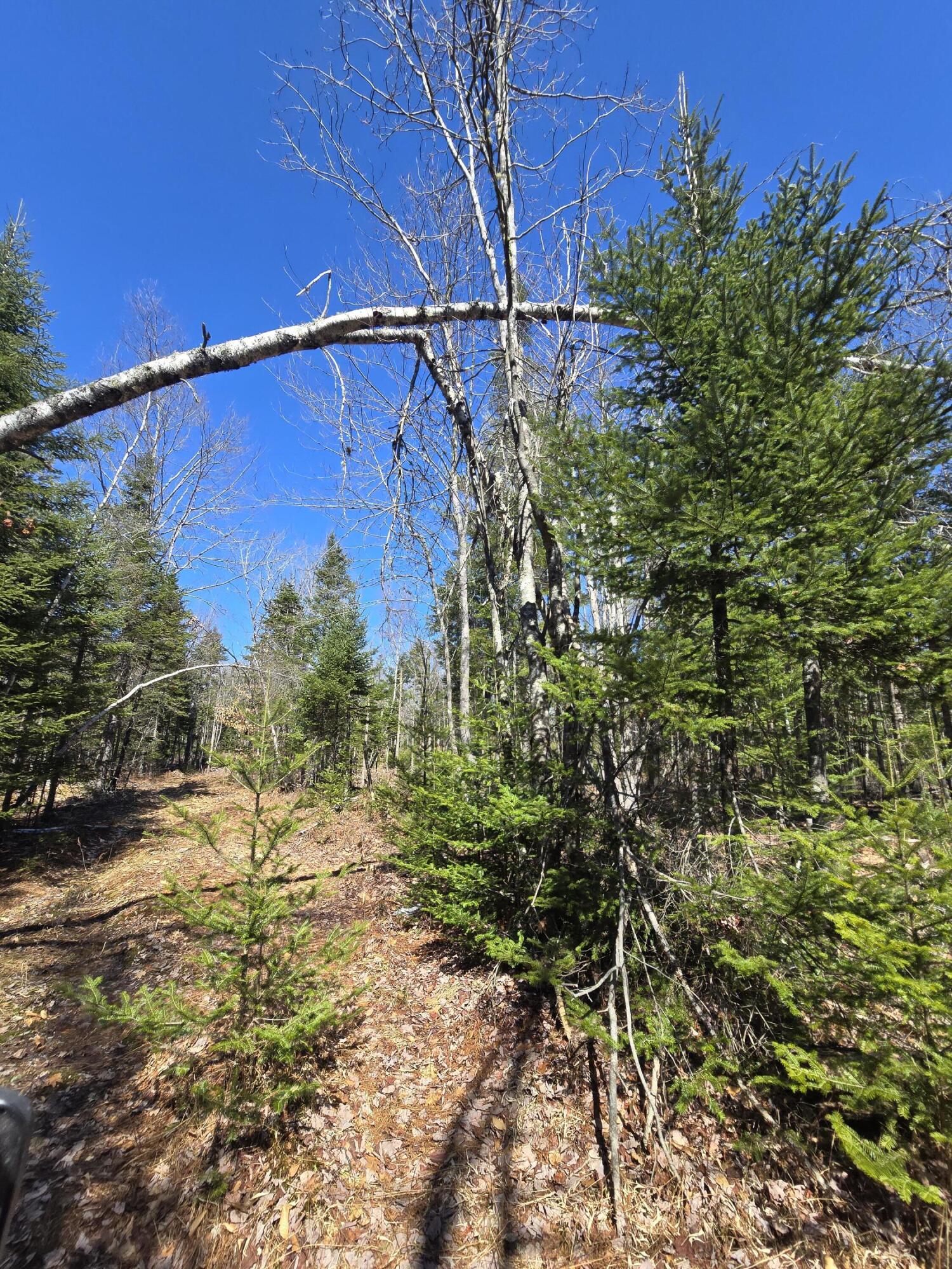 0 Chadbourne Road Harmony, ME 04942 - Photo 14 of 22 20260408_140428