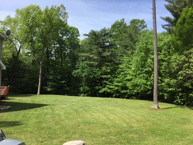 645 Upper Plains Road Salisbury, VT 05769 - Photo 15 of 17