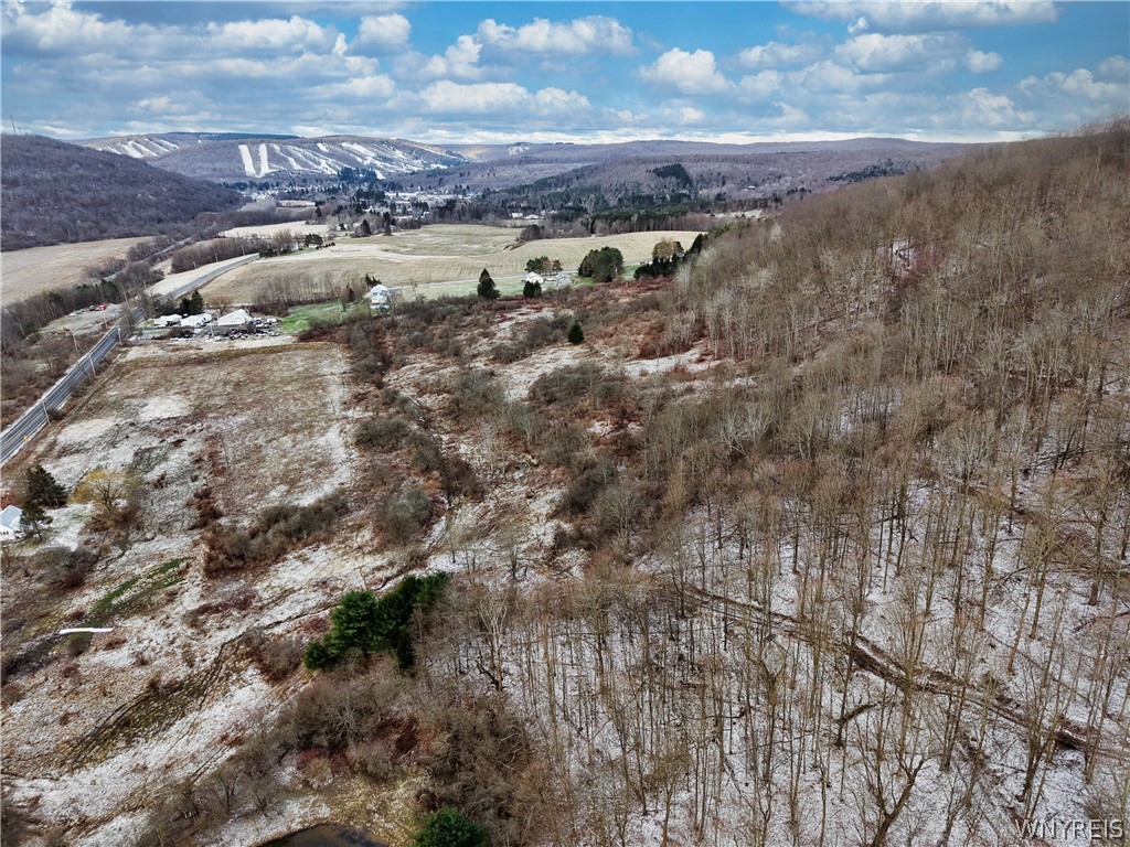 6010 Nys Route Ellicottville, NY 14731 - Photo 3 of 5