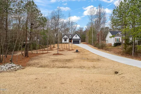 a view of road with large trees