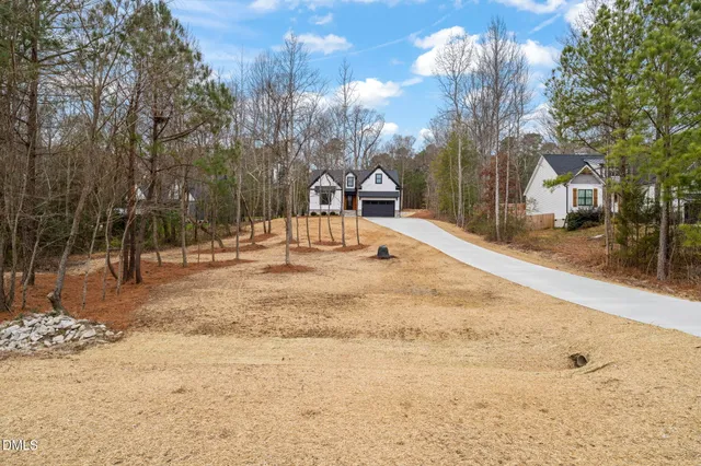a view of road with large trees