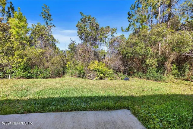 a view of a yard with a tree