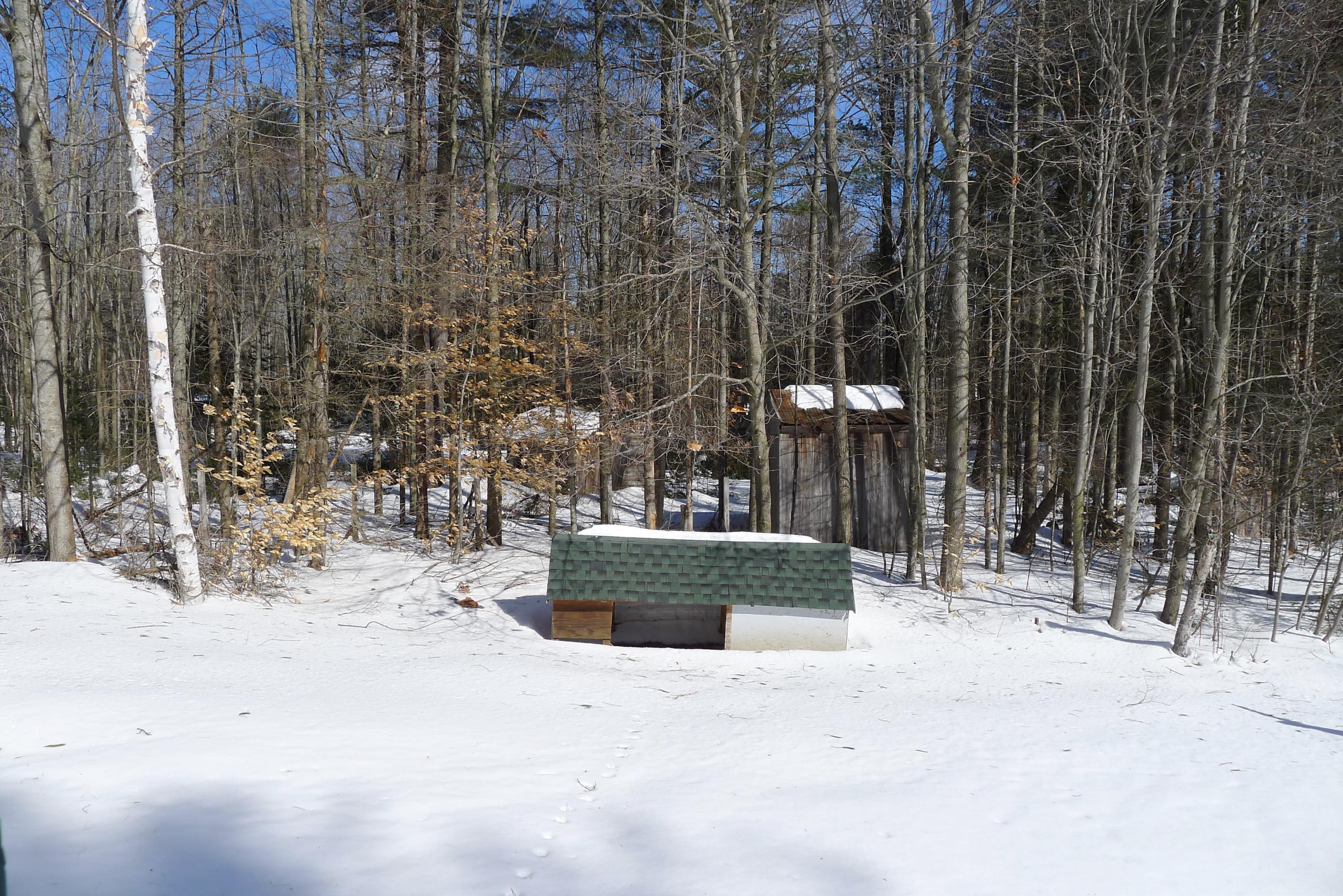 435 Davis Road Jay, ME 04239 - Photo 19 of 21 Looking to the left rear