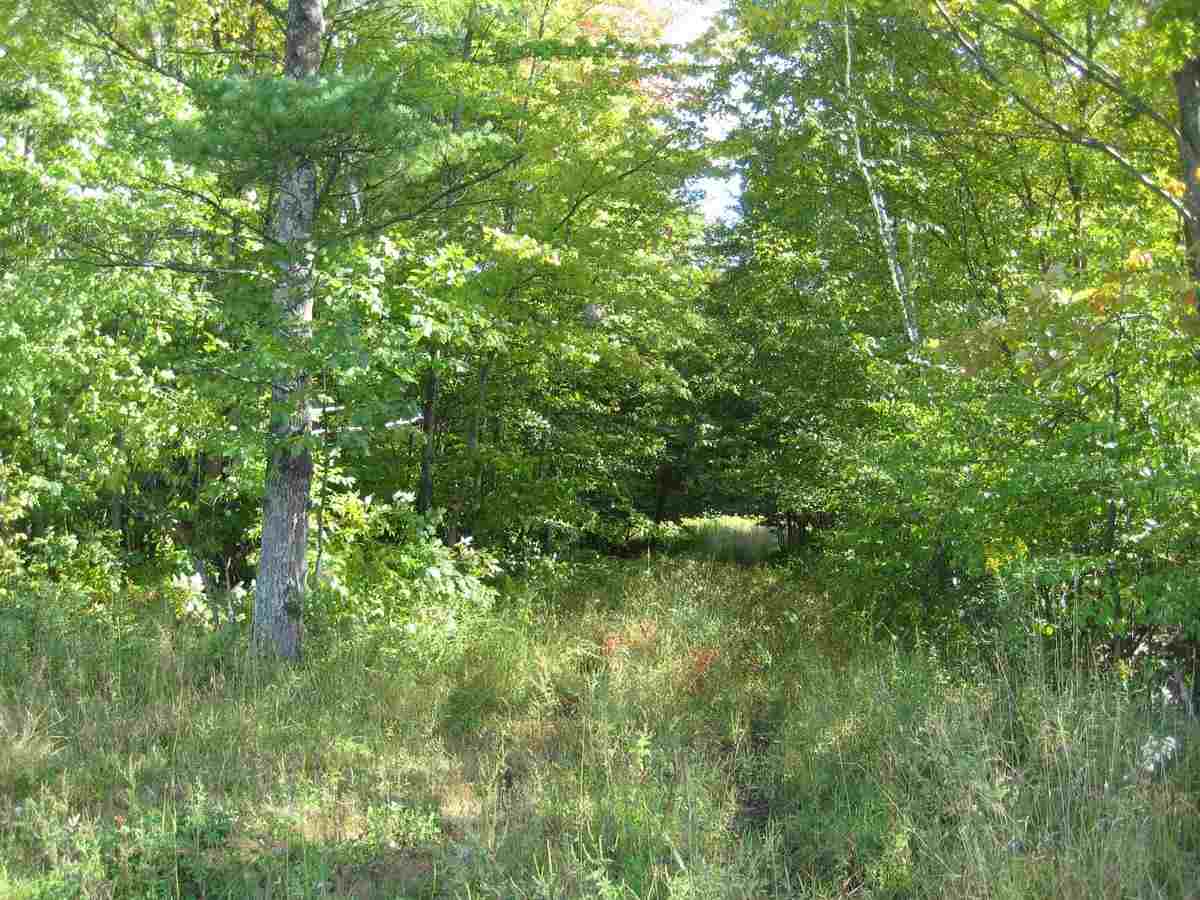 Lot 01 County Rd X Stevens Point, WI 54481 - Photo 1 of 1