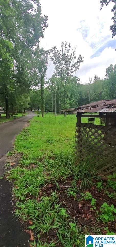328 Bill Gross Camp Road Bessemer, AL 35023 - Photo 12 of 16