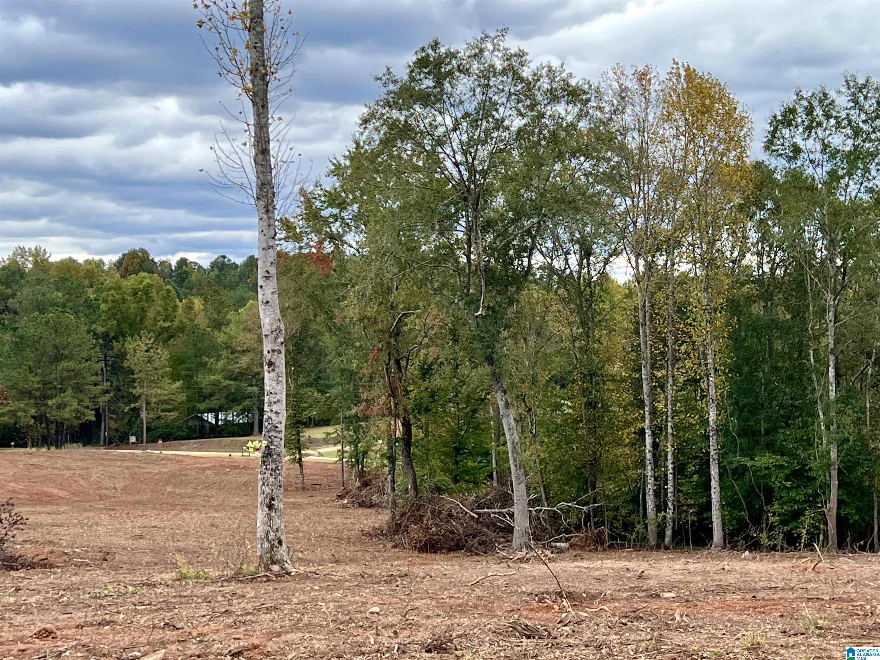 0 County Road 4 Wedowee, AL 36278 - Photo 20 of 24