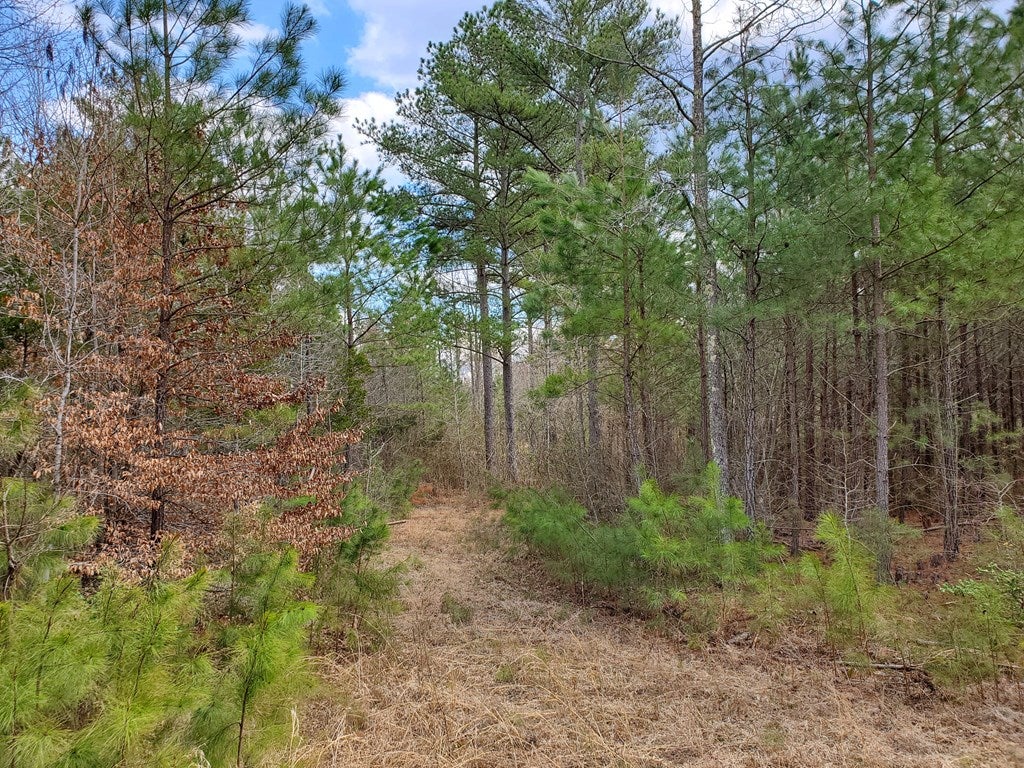 Pleasant Oak Road Victoria, VA 23974 - Photo 21 of 55 Gallery Image 21