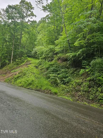 $16,000 | 1068 Lesters Fork Road, Grundy, VA 24614